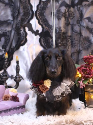 20231011小太郎くん